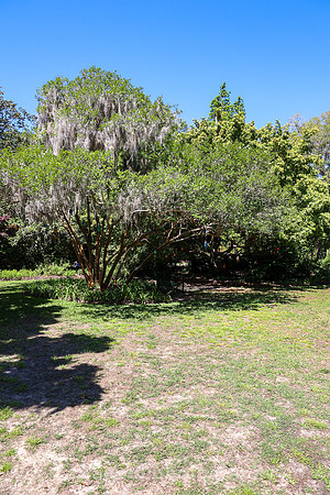 Brookgreen Gardens