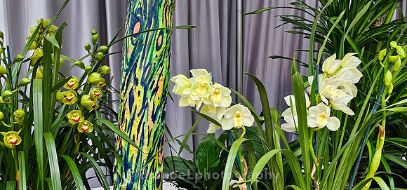 The Future of Orchids: Conservation and Collaboration