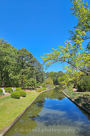 Norfolk Botanical Garden @85