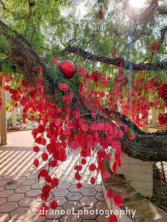 The Power Of RED
