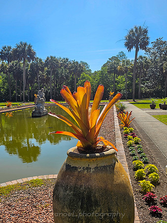 Brookgreen Gardens
