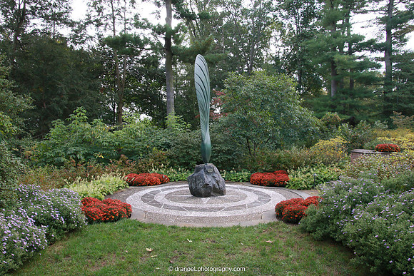 MT. Cuba Center