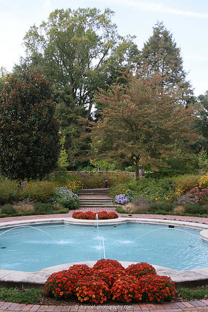 MT. Cuba Center