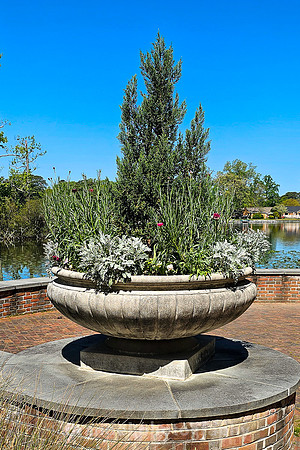 Norfolk Botanical Garden @85
