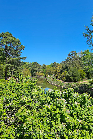 Norfolk Botanical Garden @85