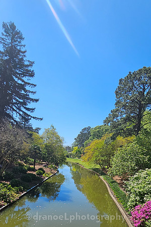 Norfolk Botanical Garden @85