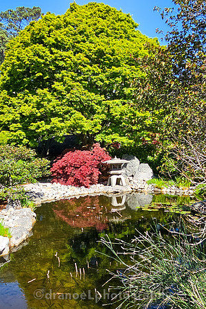 Norfolk Botanical Garden @85