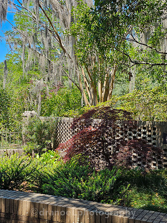 Brookgreen Gardens