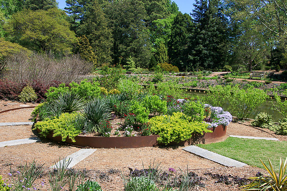 Norfolk Botanical Garden @85