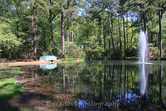 Norfolk Botanical Garden @85