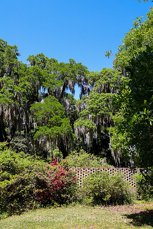 Brookgreen Gardens