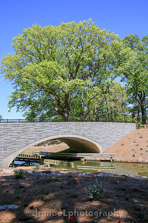 Norfolk Botanical Garden @85