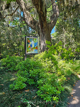 Brookgreen Gardens