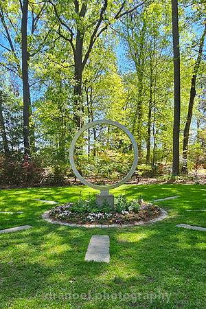 Norfolk Botanical Garden @85