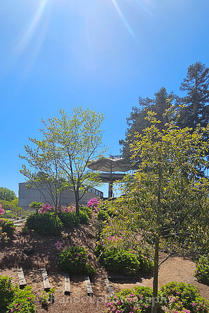 Norfolk Botanical Garden @85