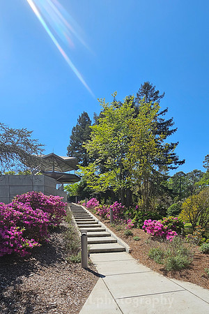 Norfolk Botanical Garden @85
