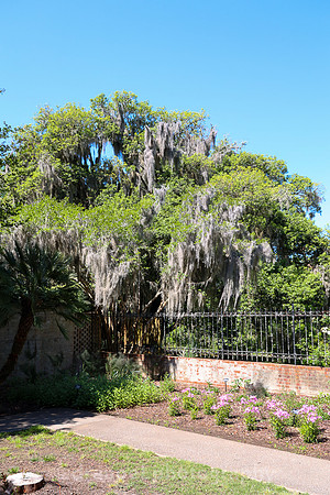 Brookgreen Gardens