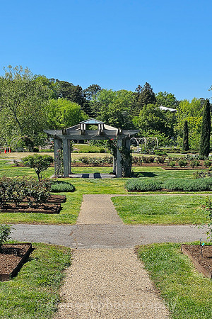 Norfolk Botanical Garden @85