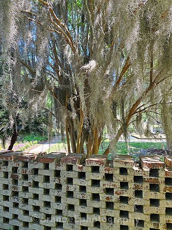 Brookgreen Gardens